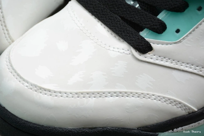 Kick Theory Island 5 CN2932-100 Jordan Green Air 0817
